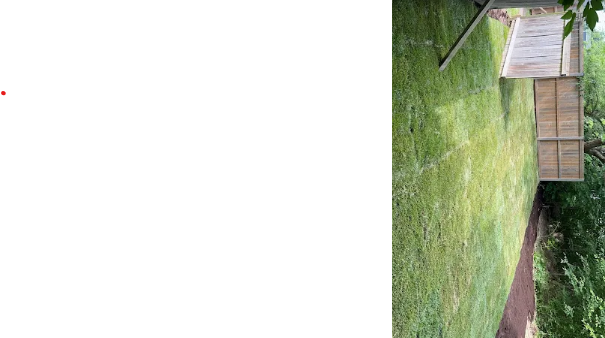 Green King Landscaping All Year Long